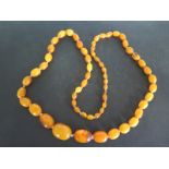 A graduated amber bead necklace - approx weight 104.6 grams - graduating from 3cm x 2.2cm to 0.