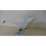 A Hutschenreuther swan - 20th Century porcelain with wings outstretched on a naturalistic base,