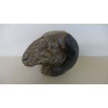 A painted metal model of a Ram's Head, wall mounted with foundry mark to back, stands 15cm high,