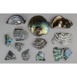 Twelve Roman/Greek glass fragments including ribbed pieces, with iridescent or trailing finish,