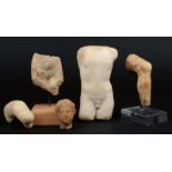 Five Roman marble fragments including a male torso, 10cm high, a right leg, on a stand, a finger,