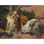 ‡Fortunino Matania R.I. (Italian 1881-1963) Head studies of goats Signed and dated 1896 Oil on board