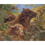 Henri-Arthur Bonnefoy (French 1839-1917) Sheep in a flower meadow Signed Oil on canvas, unframed
