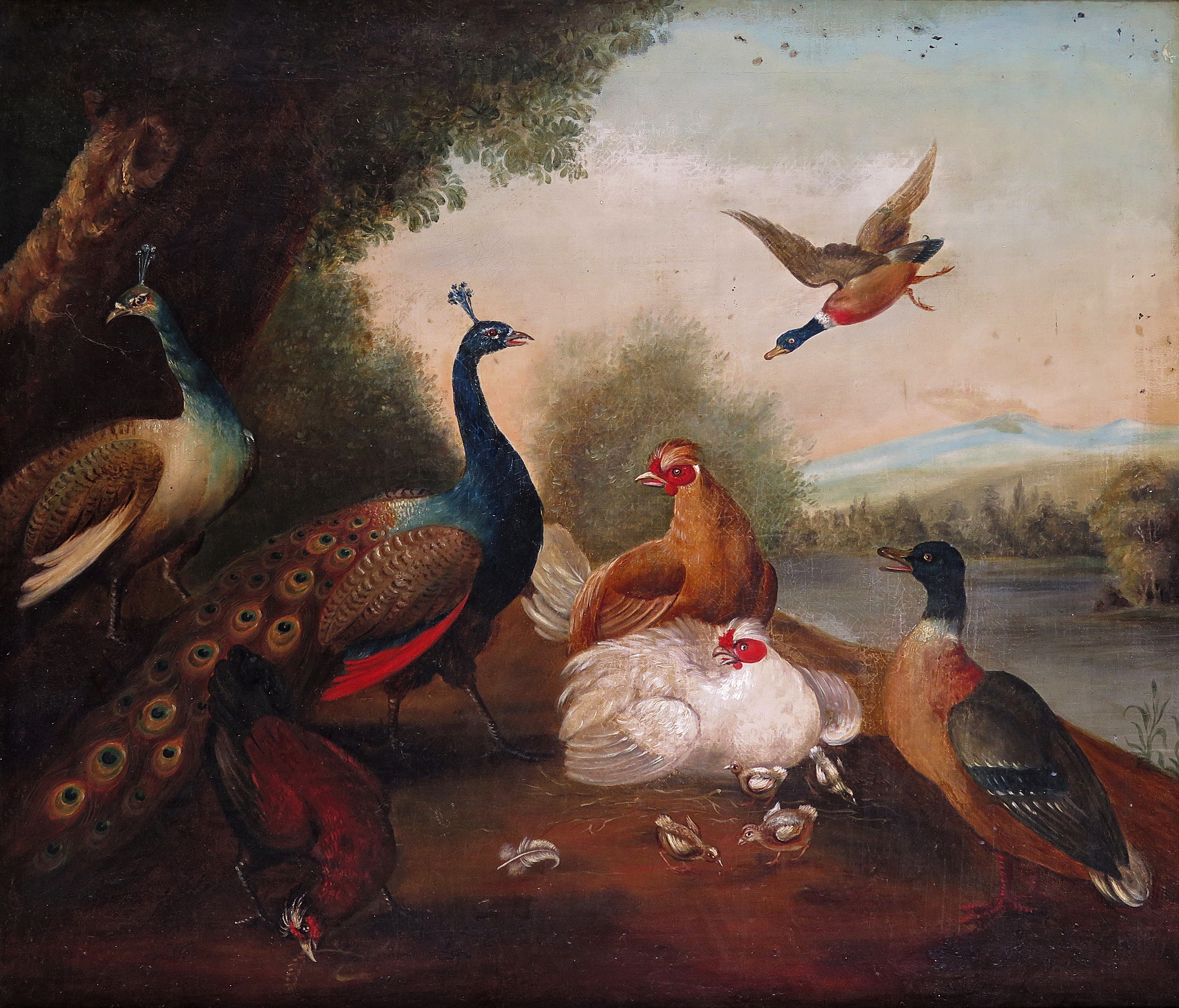 Manner of Marmaduke Cradock A 19th Century painting of a peacock, chickens and ducks in a