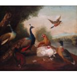 Manner of Marmaduke Cradock A 19th Century painting of a peacock, chickens and ducks in a
