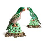 Two Chinese famille verte models of parrots, each on an openwork rocky base, raised on scroll