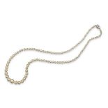 A single row natural saltwater pearl necklace, the pearls graduate from 2.5 to 7.2mm. The platinum