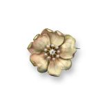 A gold flower head brooch, centred with a diamond and seed pearls with realistic shaded enamel