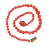 A single row coral bead necklace, the gold clasp mounted with a coral cameo. The beads graduate from