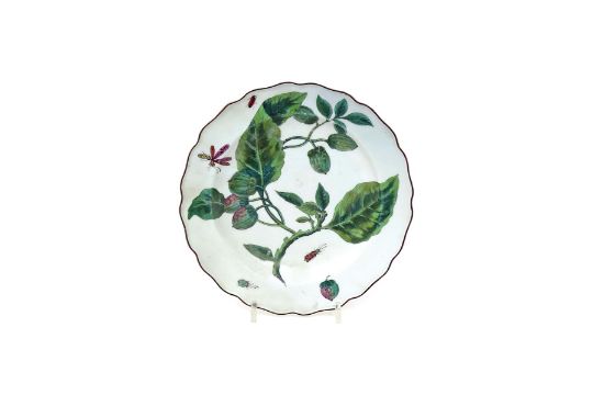 A Chelsea 'Hans Sloane' plate c.1756, painted with a large botanical ...