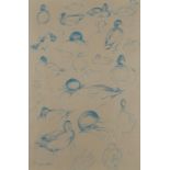 ‡ Geoffrey Dashwood (b.1947) Study of mallards Signed Chalk on buff paper 43 x 29cm Provenance: