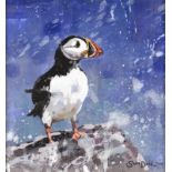 ‡ Sam Dodd (20/21st Century) Puffin Signed and dated 2000 Acrylic on board 17 x 17cm Provenance: