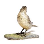An Austrian cold painted bronze bird inkwell by Bergman, modelled as a thrush, its neck hinged to