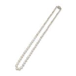 A single row natural saltwater pearl necklace, 49cm long. Set with a diamond and pearl-set oval-