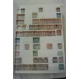 Two stock books containing a large quantity of mint and used British and Commonwealth stamps from 1d