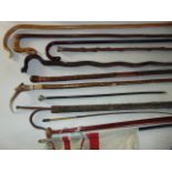 A collection of various walking canes and sticks to include, antler capped examples etc