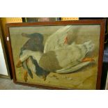 A 19th century oil painting on canvas of still life with dead fowl, 45 x 64cm together with a