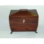 A regency rosewood sarcophagus shaped caddy with two divisional interior and satin wood banding