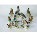 A collection of Karl Ens models of birds including a large group of a pair of blue jays, a single