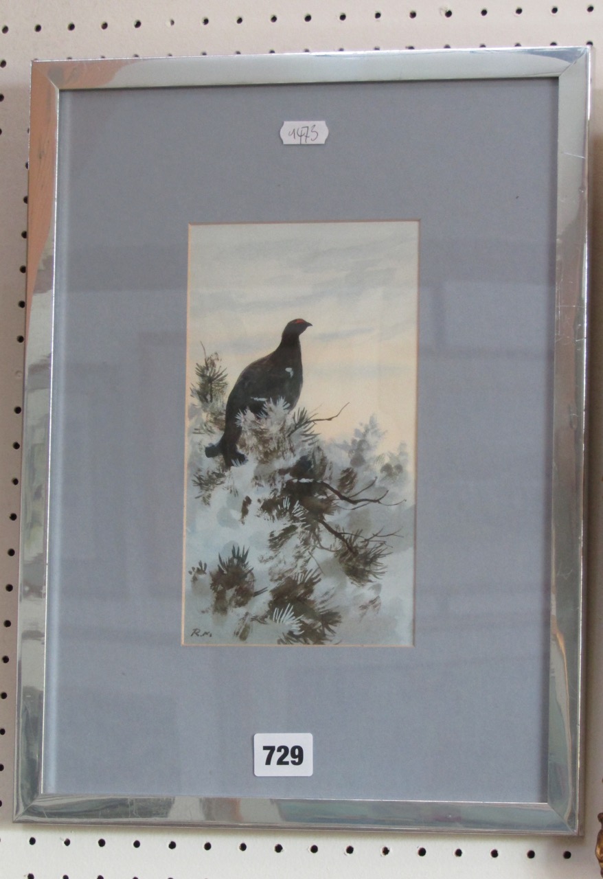 A 20th century gouache study by Rodger McPhail showing a blackcock amongst foliage, signed with