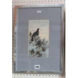 A 20th century gouache study by Rodger McPhail showing a blackcock amongst foliage, signed with