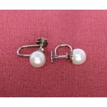 A pair of cultured pearl stud earrings set in 15k white gold