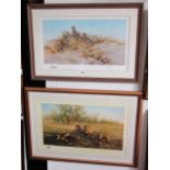 Two signed coloured limited edition prints after David Shepherd - The Cheetahs of Namibia, signed in