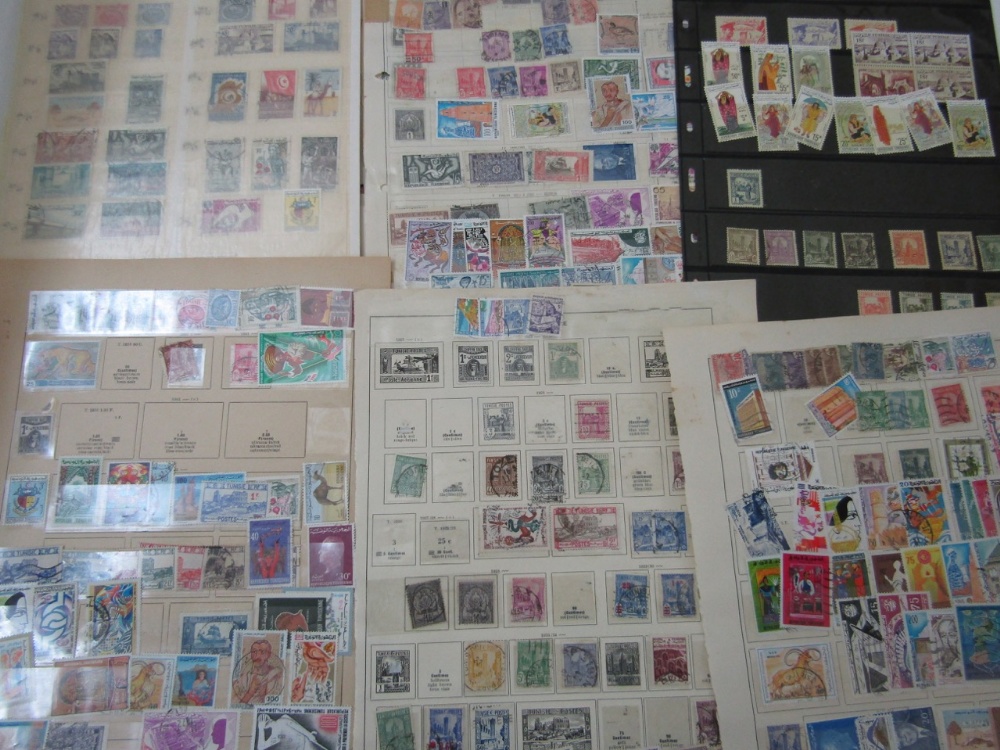 A box containing a quantity of stamps from French Colonies Tunisia on album pages, in bags and small