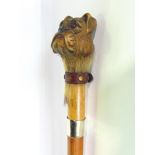 Malacca walking stick with carved wooden bull dog head knop, with novelty red leather collar, 87cm