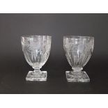 Good quality pair of 19th century ale/beer glasses etched with hops, the faceted bowls upon
