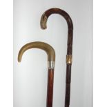 Antique bamboo cane with gold tip and collar together with a horn handled malacca cane with silver