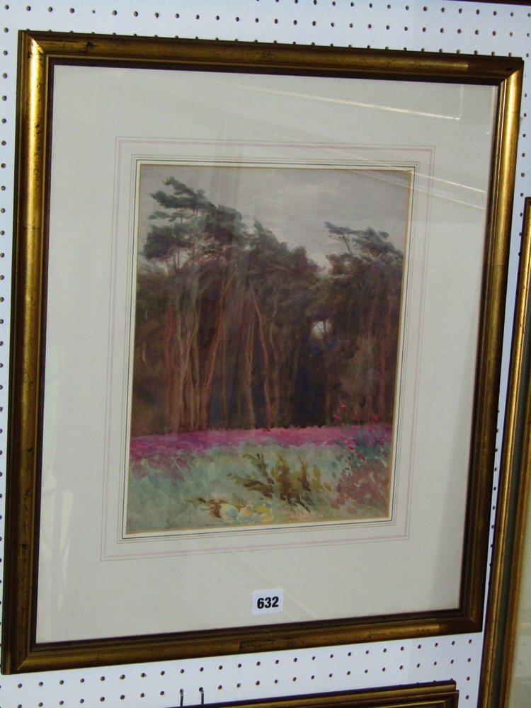 A late 19th century watercolour of a woodland scene with foxgloves, attributed to Thomas Robert