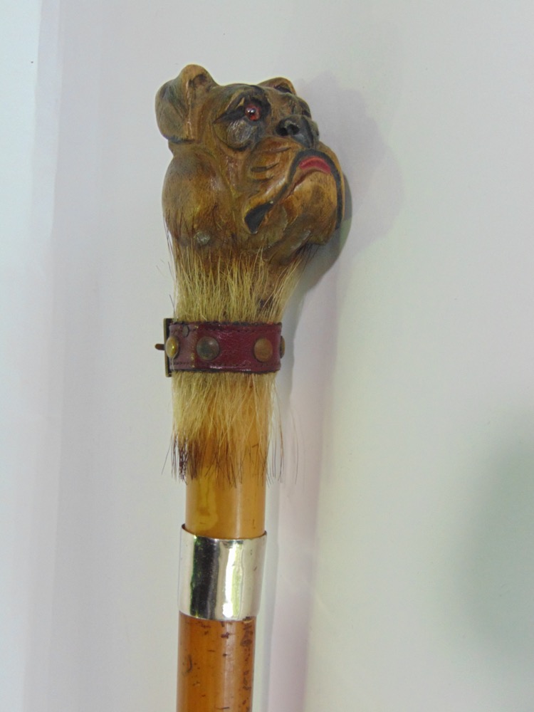 Malacca walking stick with carved wooden bull dog head knop, with novelty red leather collar, 87cm - Image 2 of 3