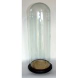 Tall cylindrical glass dome upon a wooden plinth, 52cm high