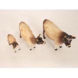 A family of three Beswick Jersey cattle comprising a bull - Dunsley Coy boy, a cow - CH Newton