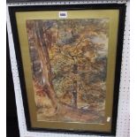 A set of three early 20th century watercolours of woodland landscapes, 35 x 53 cm approx size in