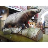 A stuffed and mounted badger on a silver birch log.