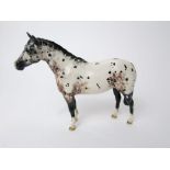 A Beswick model of a standing Apaloosa horse with circular printed mark to underside