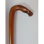 A gentleman's Crecian walking stick, the handle carved with a horses head.