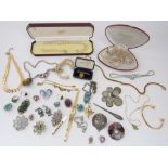 Costume jewellery including an agate set brooch, a Scottish clan brooch by John Fraser, small amount