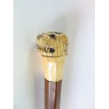 A Victorian gentleman's walking cane with lead loaded ivory knop carved in the form of a Dog of Fo