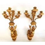 A good pair of cast ormolu four branch figural wall sconces modelled as cherubs holding a loft a