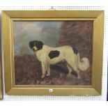 A 19th century oil painting on board showing a brown and white long coated dog standing in a