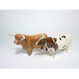 A Beswick model of an Ayrshire bull - Whitehill Mandate, together with a Beswick model of a highland