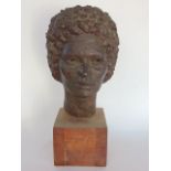 A clay head a lady with bronzed finish and tight curls upon a pitch pine plinth base, 46 cm high