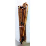 A large quantity of walking stick shafts, together with a few complete sticks to include one with