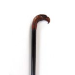 A good quality rosewood walking cane, the knop in the form of a carved eagle's head with glass