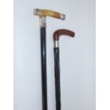 Two ebony shafted walking sticks, one with white metal bands and horn handle, the other with