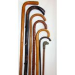 A collection of walking sticks to include a slim Malacca cane with bronze bull dog knop, together