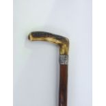 A primitive walking stick with silver collar and horn handle